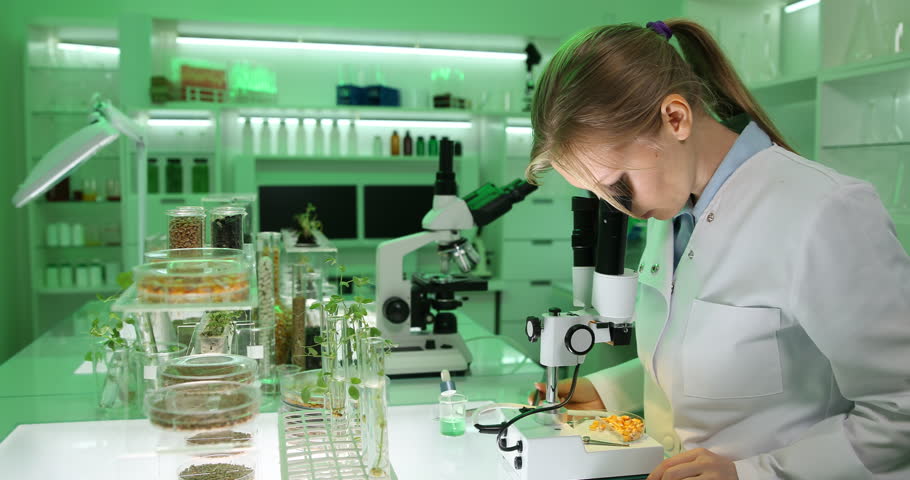 профессия биолог. лаборатория биолога. чел с микроскопом. биолог. изучение биологии.