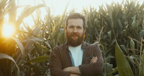 CU Portrait of a farmer looking and smiling into the camera, standing in the corn field. Farming, ecology, bio product, natural products, professional, environment concept. 4K UHD 60 FPS