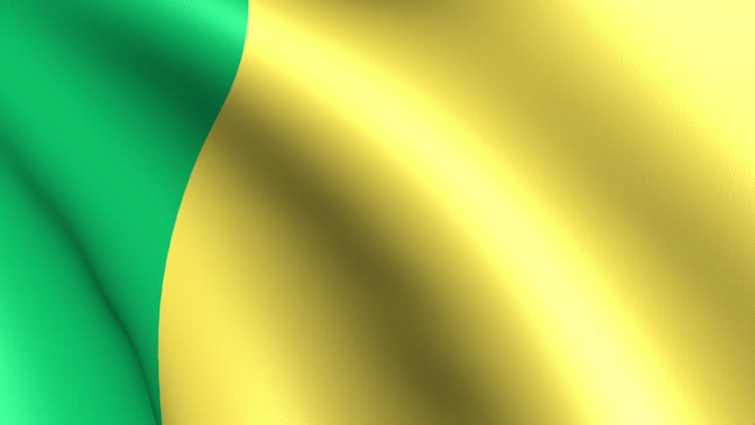 Mali Flag Waving