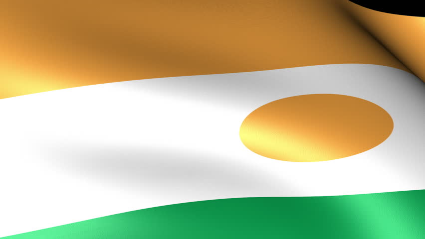 Niger Flag Waving