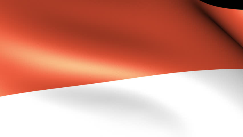 Monaco Flag Waving