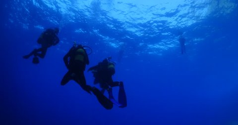 scuba divers ascending to the surface underwater to the surface nice blue water