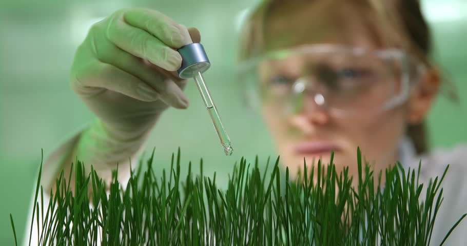 4K Closeup of biochemist woman pipe organic wheat ,growing genetic plants tester job Royalty-Free Stock Footage #29756659