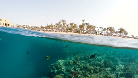 Snorkel swim in underwater surface split view in the tropics paradise with fish and coral reef, above waterline view of paradise beach with parasols. Marsa alam, Egypt. Summer holiday vacation concept