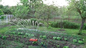 High quality video of sprinkler in real 1080p slow motion 250fps