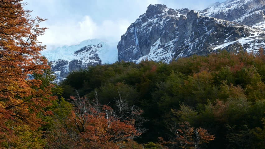 Time lapse of colorful forest in Patagonia during autumn