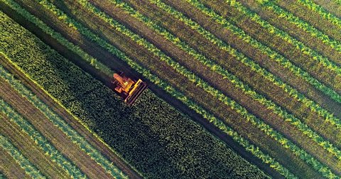 Agricultural Harvesting Last Light Day Stunning Stock Footage Video ...