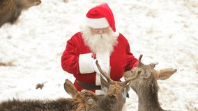 Zoom out of Santa Claus caressing his pets and treating them with bread