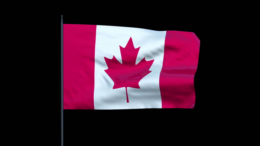 Canada Flag Waving, Seamless Loop