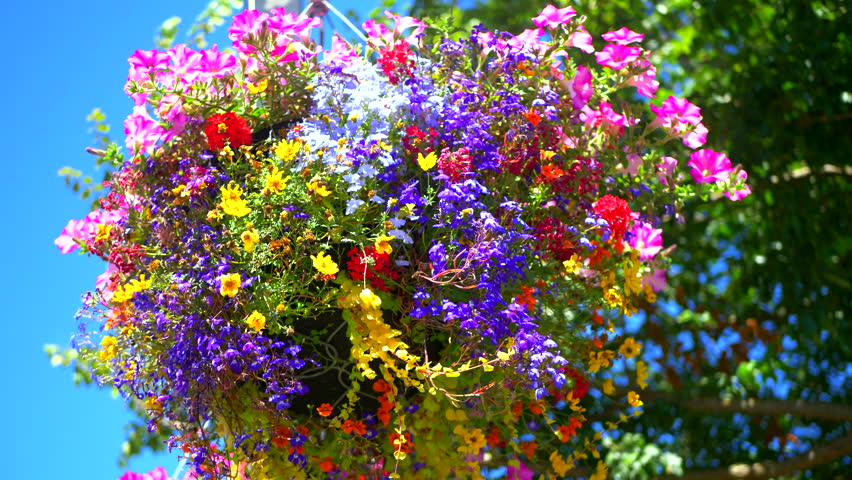 4K Hanging Flower Basket, Beautiful Floral Garden Arrangement Decoration
