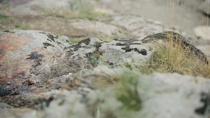 Traditional way of making food in nature