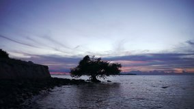 silhouette twilight seascape 
