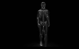 Clips of woman getting physiotherapy on balck digital background with walking skeleton