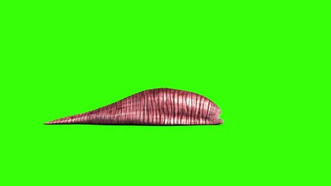 Giant Worm Monster Attacks Side Green Screen 3D Rendering Animation