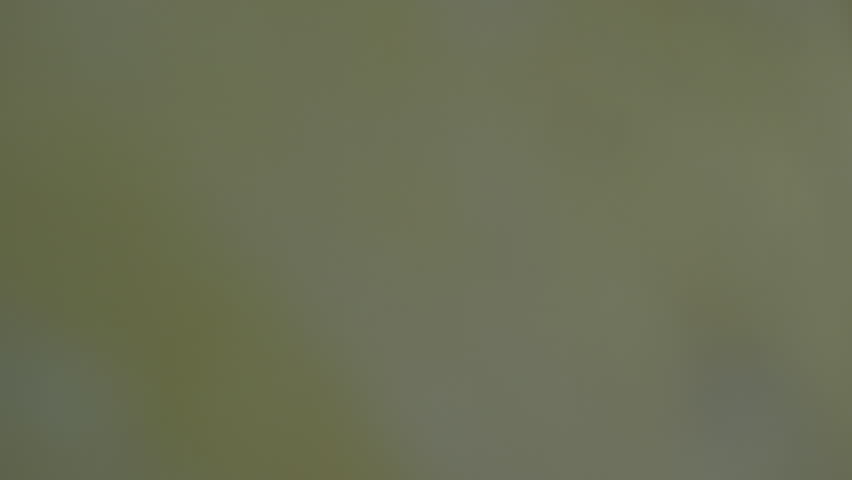 PAN of happy Arab male refugees dancing in destroyed building with broken windows as Caucasian soldiers with protective helmets and military clothing watching and smiling