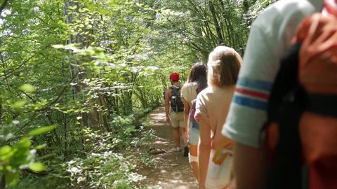 Young Hiker Friends Walking on a Path in Forest. Rear Back View of Trekking Teenagers on Trek with Backpacks. HD Slowmotion Active Lifestyle Footage