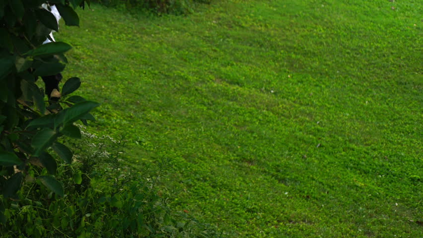 Wizard using a magic spell outside.