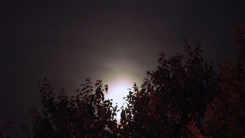 Night time clouds and moon, a Nature Video by IronStrike