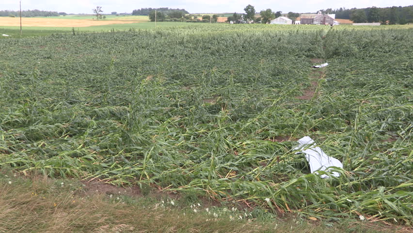 Corn drop on farm damaged and destroyed by tornado 