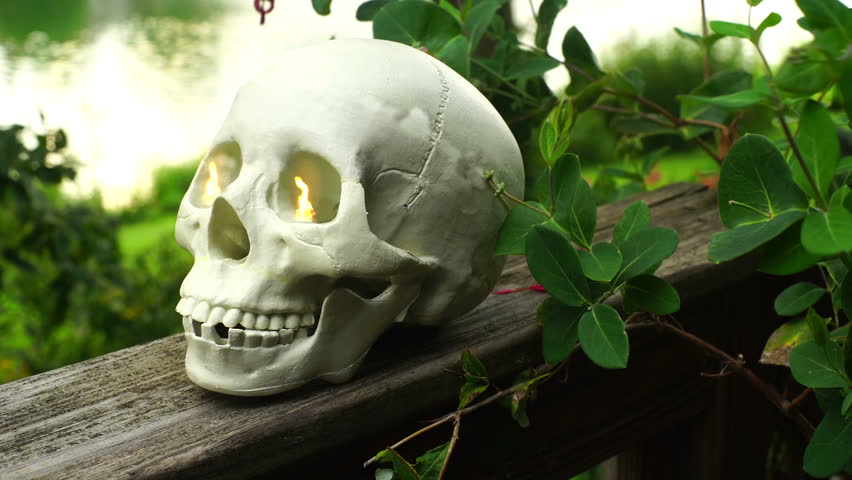 Magic skull outside with creepy eyes