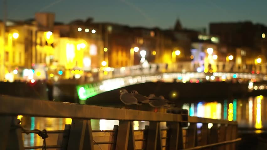 Seagulls by the river Liffey and Hapenny bridge, Dublin, Ireland. Christmas time in Europe. Cold winter season. European cityscape of an viking old town with cozy night lighs.