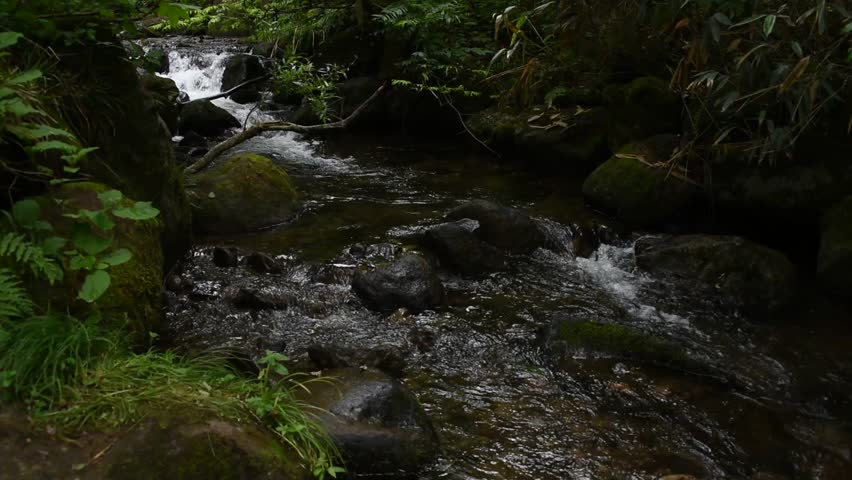 mountain stream