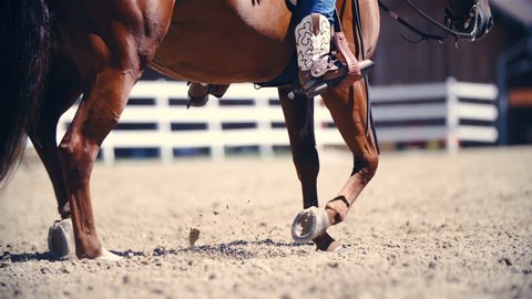 Riding horse in jogging pace slow motion 4K. Long shot of horse lower part of the body in focus while riding in the arena. Riders cowboy boots in the stirrup.