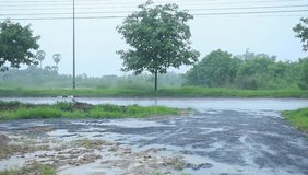 Video rain car road

