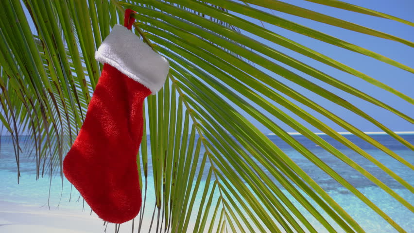 Free Stocking Hd