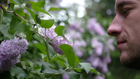 Romantic man with a beard sniffing in a park lilac flowers. slow motion, 1920x1080, full hd