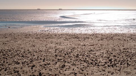 migratory waterbirds Wadden Sea intertidal meander inflow Sehaal
