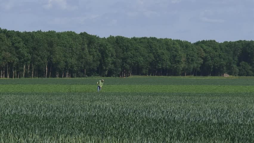 cornfield, farmer at work zoom out rural landscape