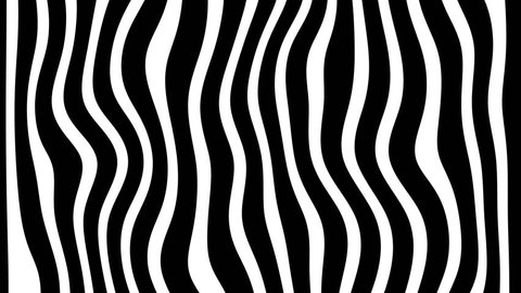 Line zebra movement animation background looped. 库存视频