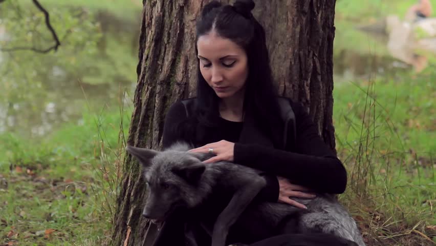 Beautiful woman holds a black fox summer the tree. The model poses during a photo session for photos with an exotic animal.