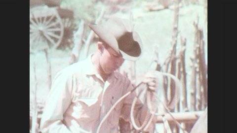 1970s: Cowboy on horseback. Boot with spurs tap horse's side. Cowboys hold down cow and brand it's side. Large steer struggles against ropes.
