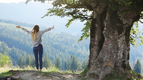 Young woman standing raised raising up hands looking peaks mountains background amazing landscape satisfied fresh air breathing girl full back view old tree gesturing freedom summer day enjoying