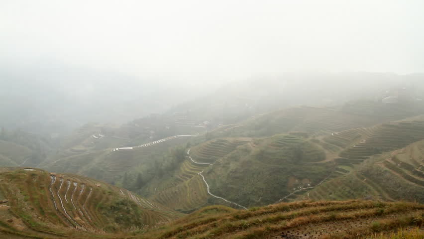 Early Morning Fog in the Terraced Rice Field - Longsheng, Guangxi province,