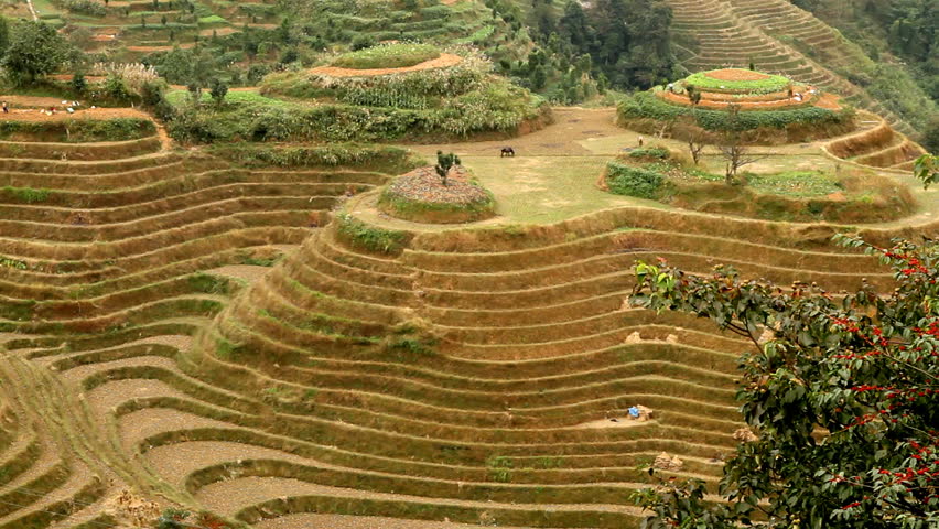 Village and Terraced Rice Field - Longsheng, Guangxi province, China.