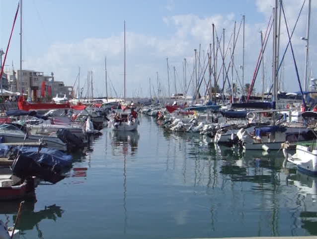 Yachts in marina