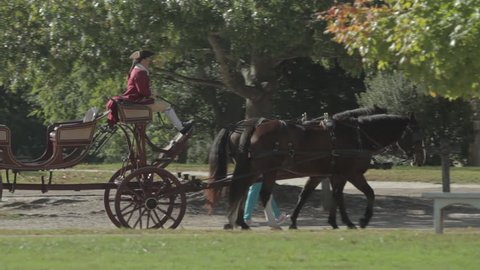 WILLIAMSBURG VIRGINIA - 2016. Re-enactment recreation of 1700s, Colonial Village, Town with houses, barns and taverns. Colonial Williamsburg with horse drawn carriage and driver on cobblestone street.