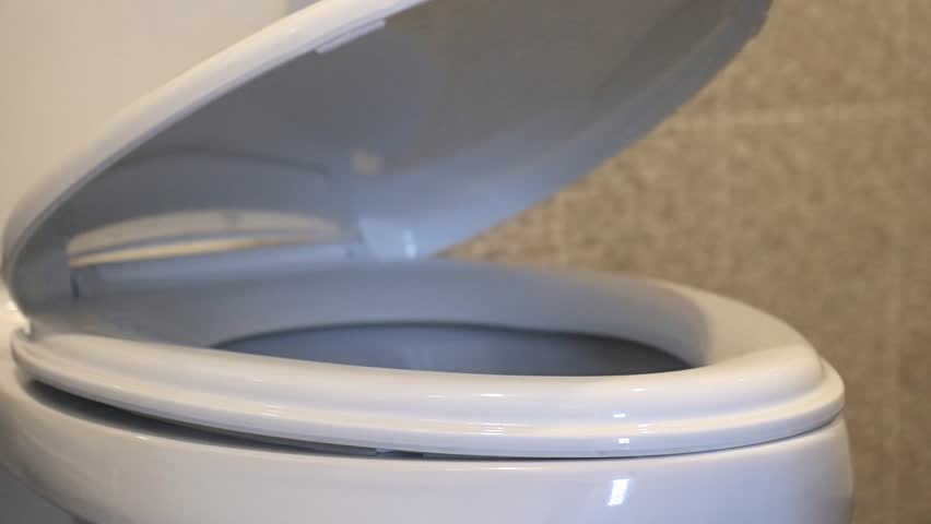 toilet bowl lid cover