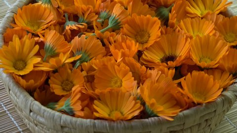 Rotating fresh medical marigold calendula flowers in basket background