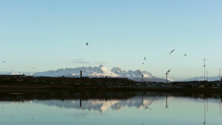 Birds flying over Begle channel at evening