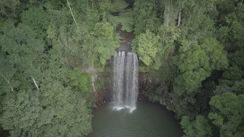 Beautiful rainforest water fall in queensland milla milla australia drone shot in tall waterfall