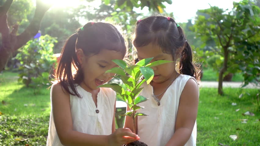 Close up of two Asian children hold a young plant in garden with love. Concept of family love in environmental conservation free day or holidays. Thai ethnicity