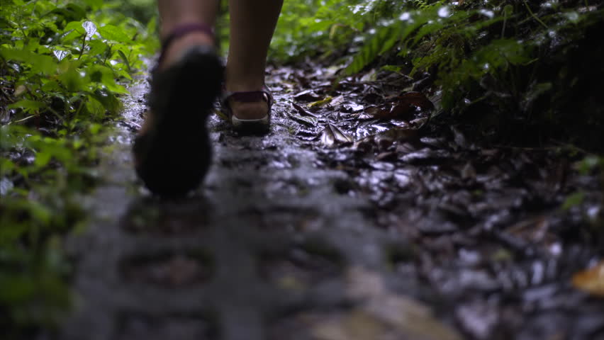 follow the Young girl with backpack walking on trail through rain forest, legs close up, national park Monteverde, Costa Rica