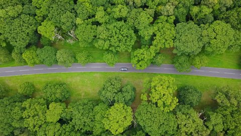 4K aerial follow overhead car on road through avenue of trees, UK