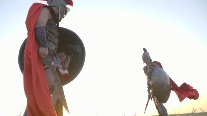 Brothers fighting in the field on swords