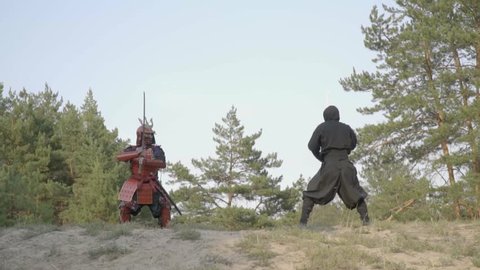Samurai and ninja fight on katanas in a coniferous forest
