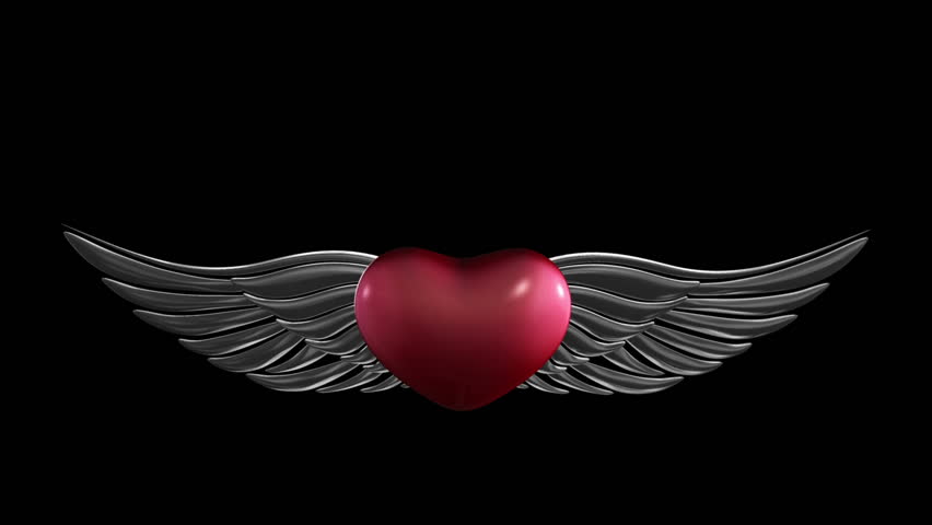 Wing Heart Concept Stock Footage Video 100 Royalty Free Shutterstock